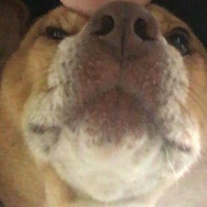 Meet your Posher, Hailey